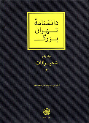 Dānishnāmahʼi Ṭihrān-i buzurg (2 jildī)