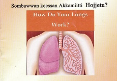 Sombawwan keessan akkamiitti hojjetu? How do your lungs work?