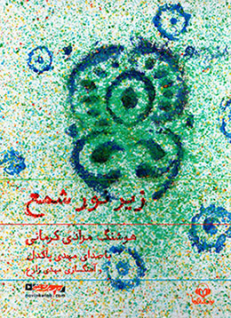Zīr-i nūr-i shamʻ (kitāb-i sukhangū)
