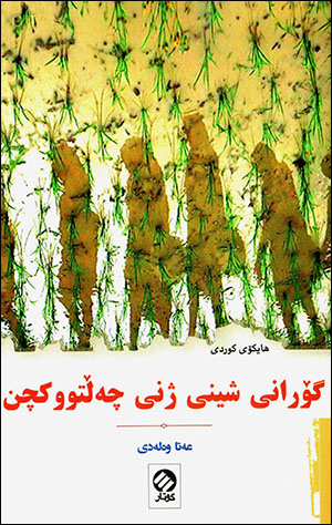 Goranî şînî jinî çełtûkçin ( Haykoy Kurdî )