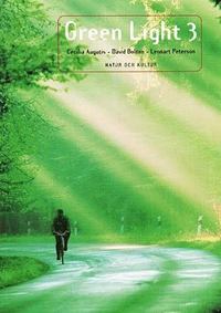 Green Light 3