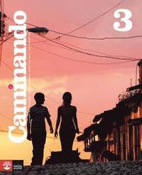 Caminando 3