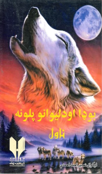 buḍā aw dalīwāno palūna