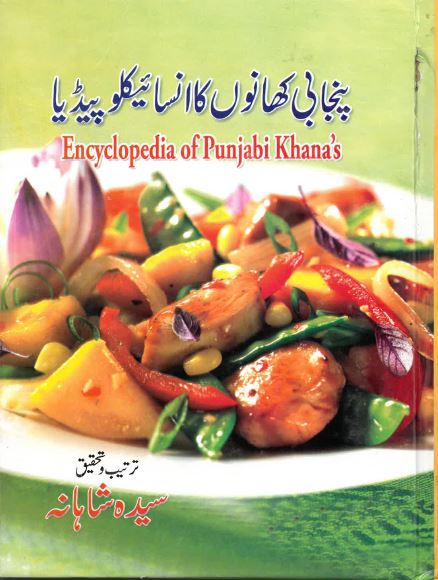 Panjābi khānon̲ kā Insā'iklopeḍiyā