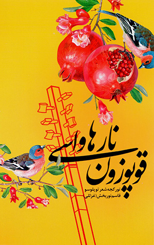 Qūpūzūn nār hāvāsī