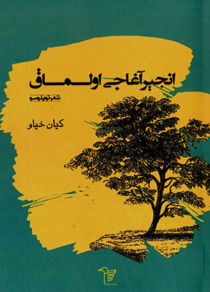 Anjīr-i āghājī ulmāq