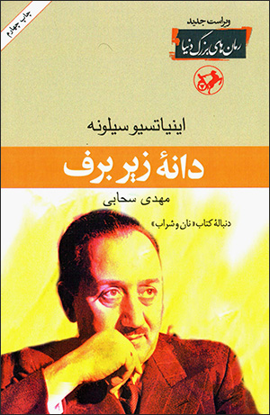 Dānahʼi zīr-i barf