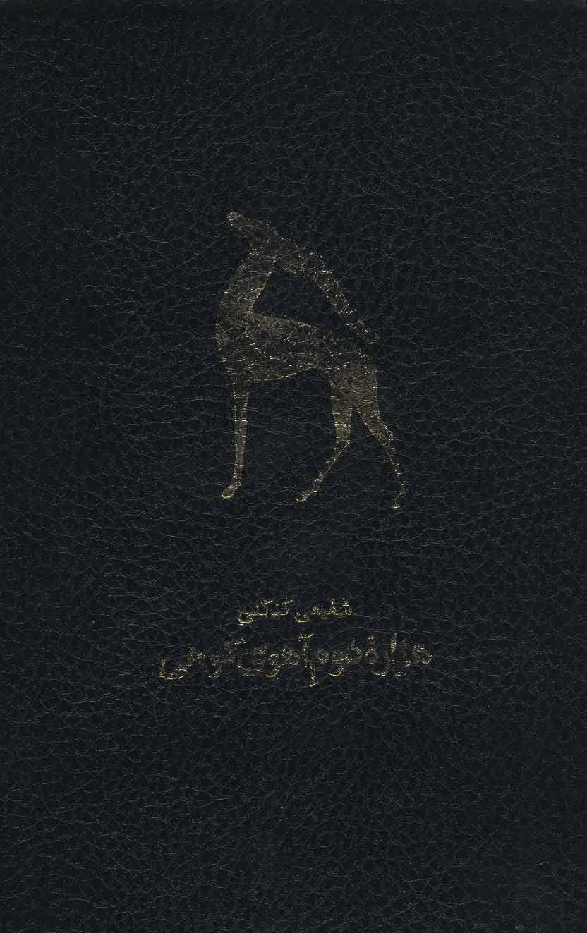Hazārahʼi duvvum-i Āhū-yi Kūhī / Āyīnahʹī barāy-i ṣadāʹhā (12 daftar-i shaʻr), (2 jildī, bā qāb)