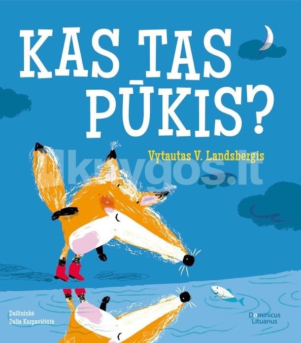 Kas tas Pūkis?