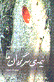 Nimih-yi sargardan-i ma