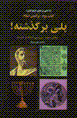 Puli bar Guzashtih! (Kitab-i Duvvum: Baramadan-i Islam, 3)