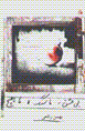 Bi 'ishq, ma sang, ma hich