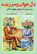 Dil-i javan va sarzindih