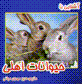 Ashnayi ba hiyvanat-i ahli