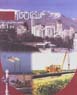 Intiqal-i gaz