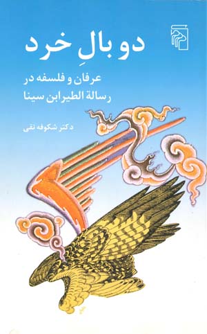Du bāl-i khirad