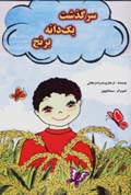 Sarguzasht-i yik danih birinj