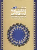 Danishnamih-yi Adab-i Farsi (jild-i 3)