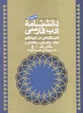 Danishnamih-yi Adab-i Farsi (jild-i 4)