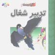 Tadbir-i Shughal