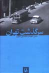 Sarguzasht-i Tihran