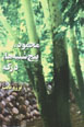 Mahmud, Panjshanbih,ha, Darakih