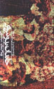 Khandan-i Budinbruk (2 jildi)