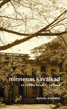 Minnenas kavalkad, en onödig krönika i tre band - Band 1