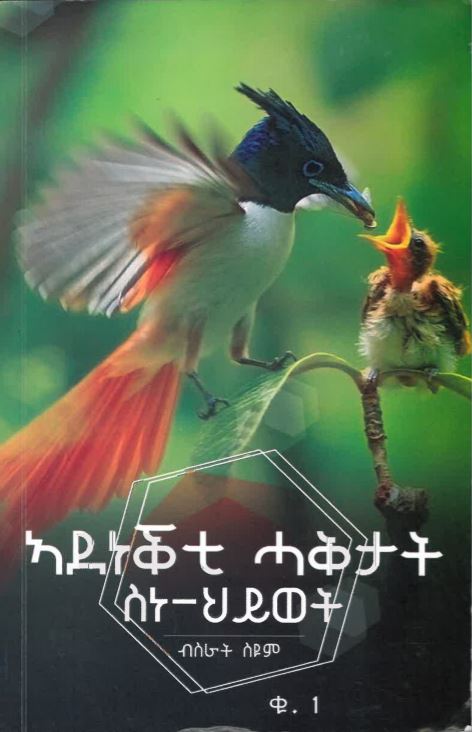 Adanaqheti haaqetaate sanaheyewate