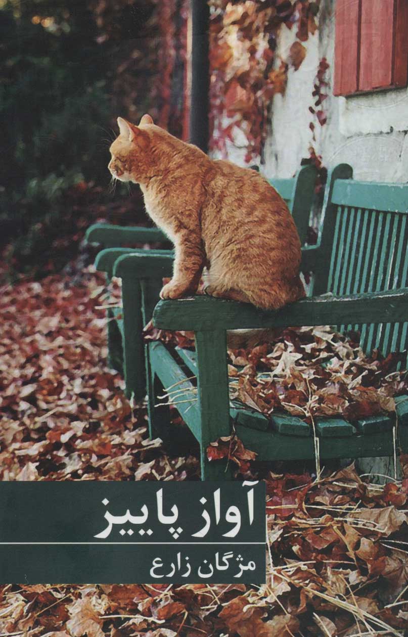 Āvāz-i Pāyīz