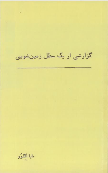 Guzārishī az yak saṭl-i zamīn shūyī
