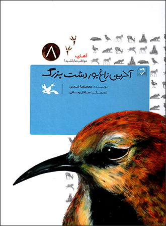 Ākharīn zāghʹbūr-i dasht-i buzurg ( āhāy muvāẓab-i mā bāshīd - 8 )