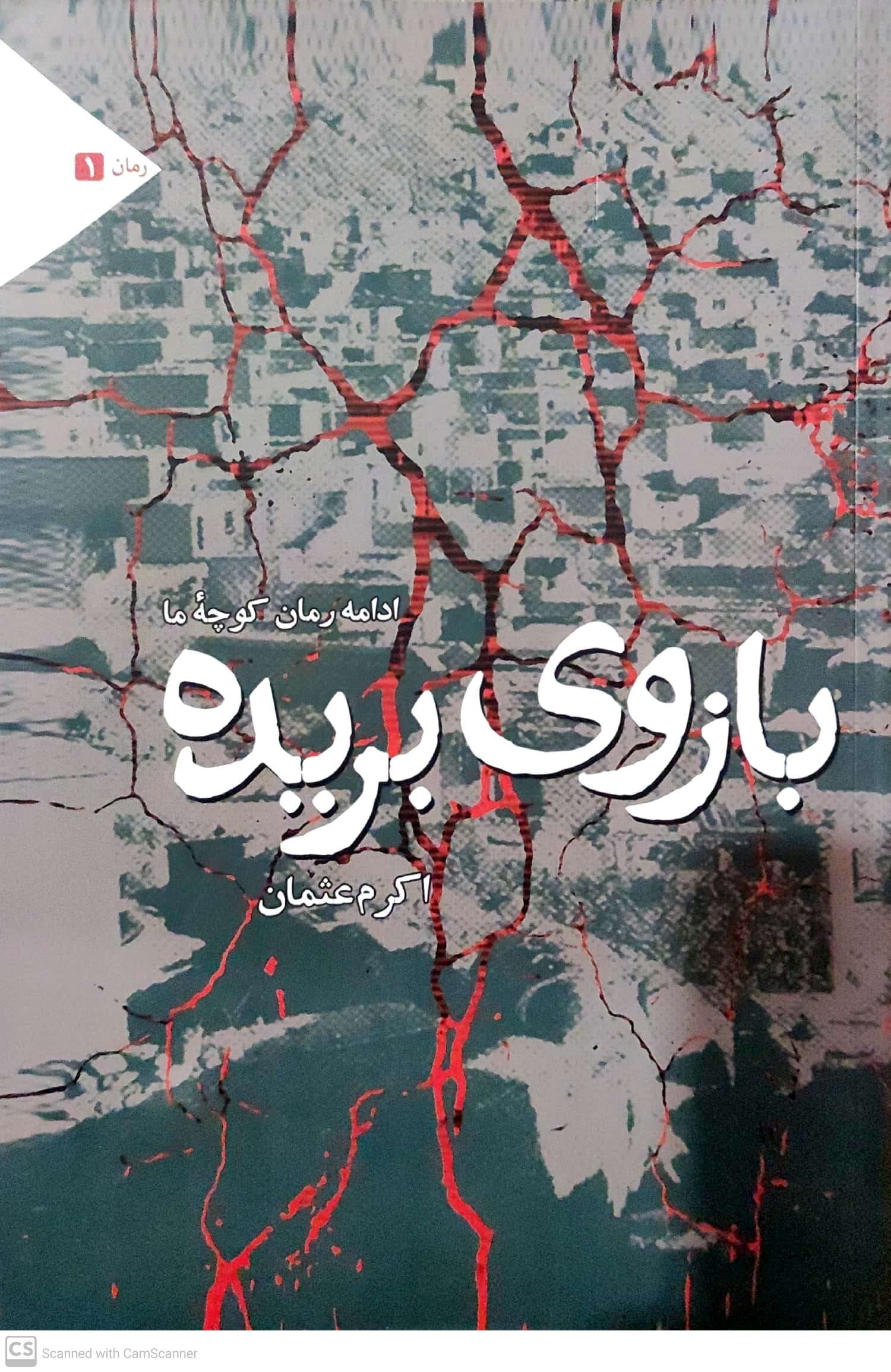 Bāzūy-i borīdah