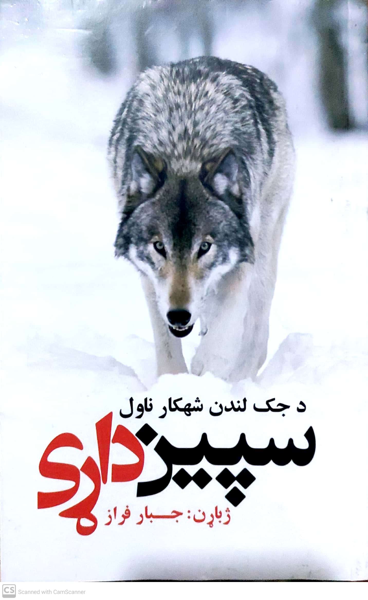 Spīn dāre