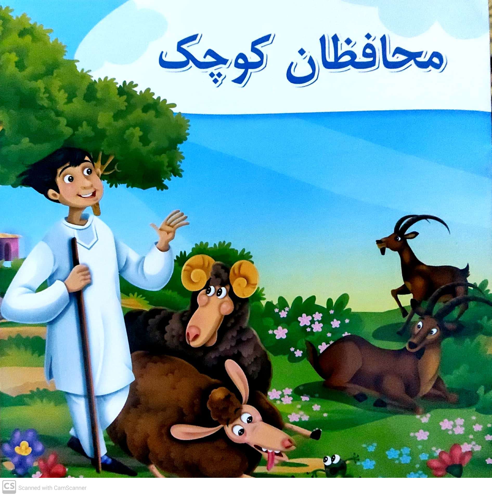 Muḥāfiẓān-i kuchak