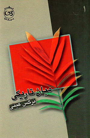 Mīyān-i tārīkī