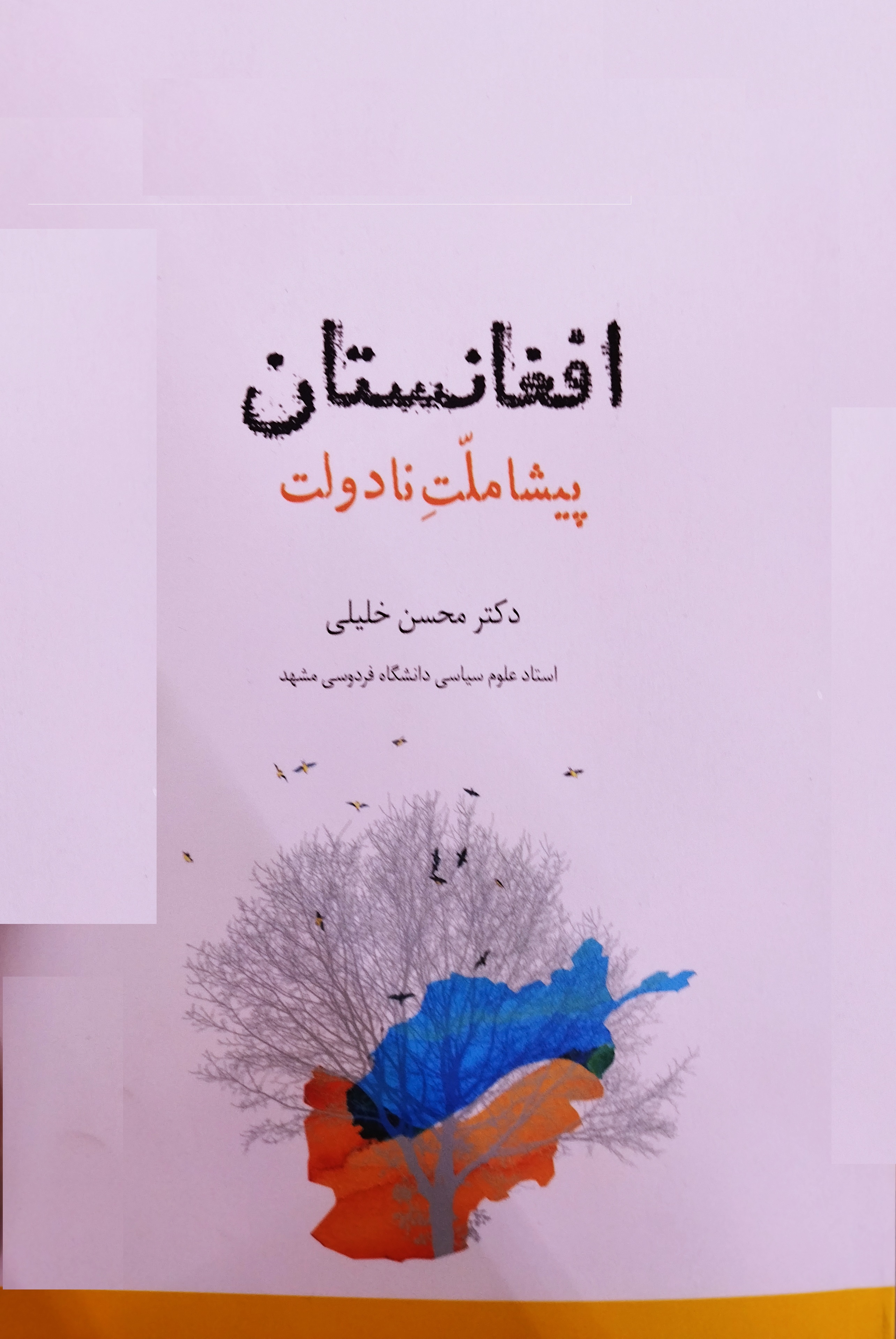 Afghānistān pishā'milat-i nādūlat