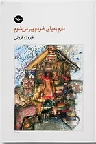 Dāram bah pāy khūdam pīr mīshawam