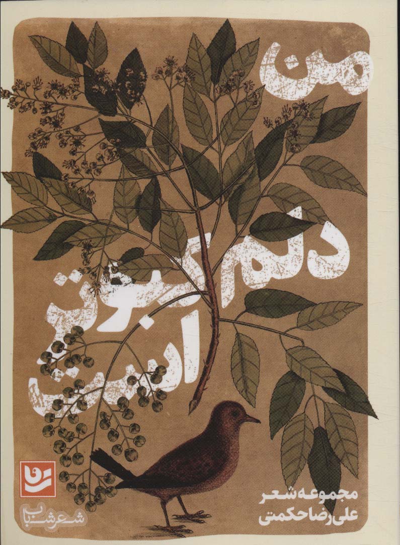 Man dilam kabūtar ast