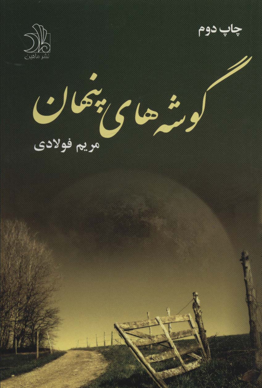Gūshah'ha-yi pinhān
