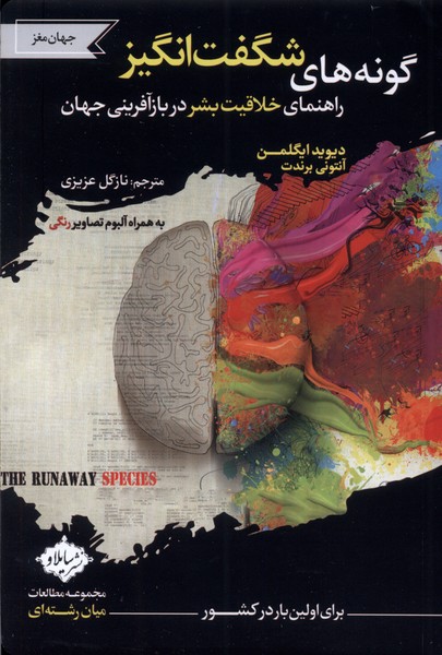 Gunah'ha-yi shigift angiz