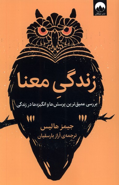 Zindigi-yi ma'na