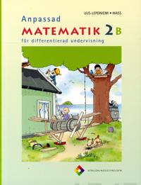 Anpassad matematik 2B