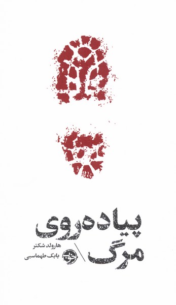 Pīyādah'ravī-yi marg