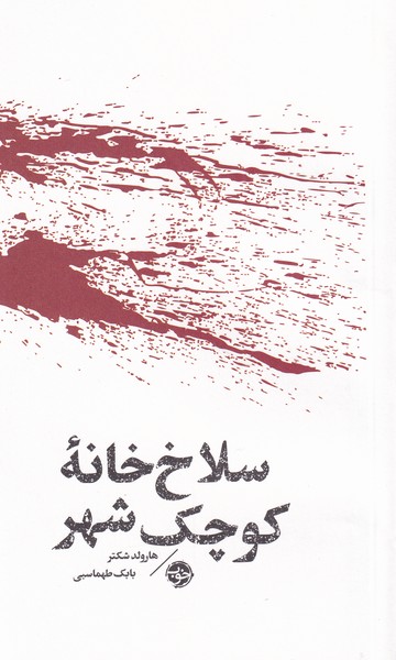 salākh'khānah-yi kūchak-i shahr