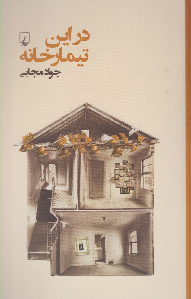 Dar īn tīmār'khānah