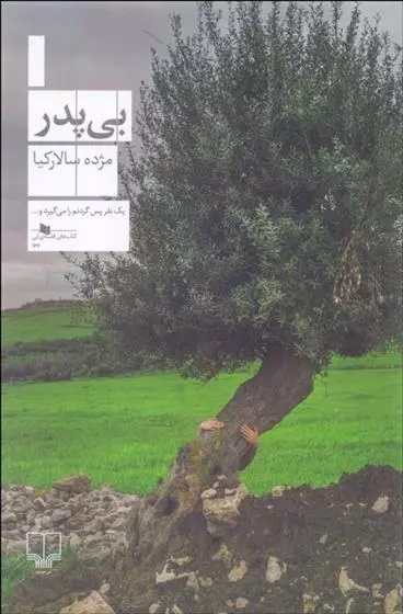 Bī'pidar
