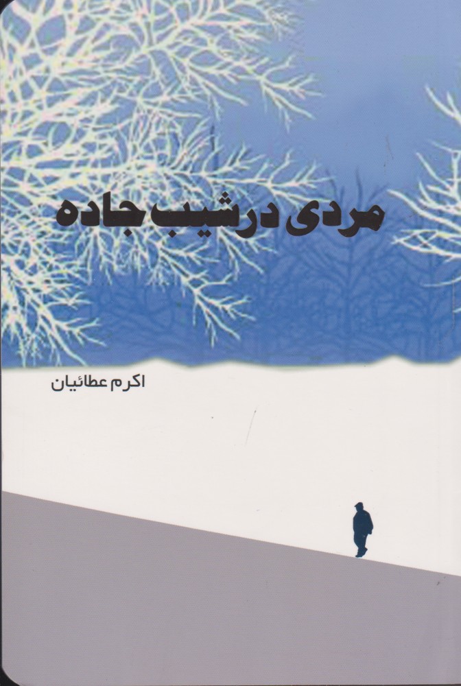 Mardī dar Shīb-i Jādah