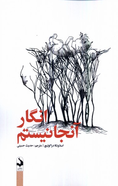Ingār Ānjā Nīstīm