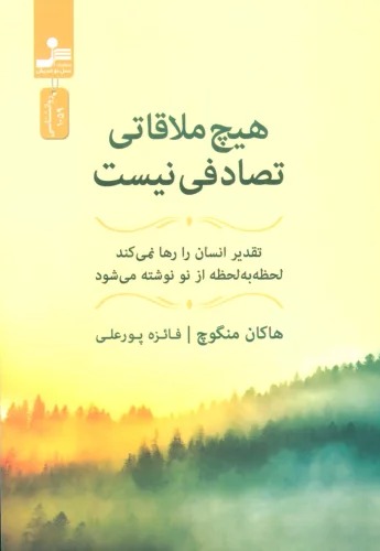 Hīch Mulāqāī Taṣādufī Nīst